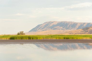 Bozkır yaz. Turgai Kaydet. Çölde Gölü