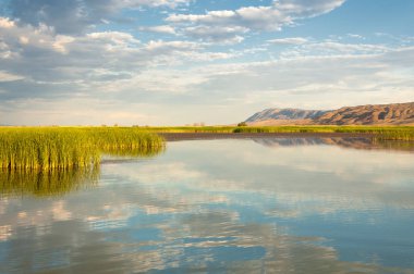 Bozkır yaz. Turgai Kaydet. Çölde Gölü