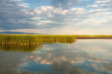 Bozkır yaz. Turgai Kaydet. Çölde Gölü