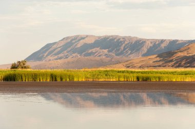 Bozkır yaz. Turgai Kaydet. Çölde Gölü