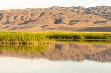 Bozkır yaz. Turgai Kaydet. Çölde Gölü