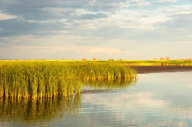 Bozkır yaz. Turgai Kaydet. Çölde Gölü