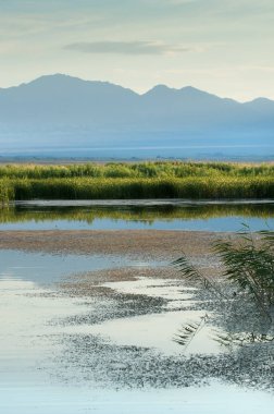 Bozkır yaz. Turgai Kaydet. Çölde Gölü