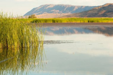 Bozkır yaz. Turgai Kaydet. Çölde Gölü
