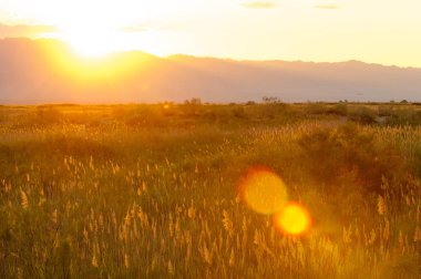 Bozkır yaz. Turgai Kaydet. Çölde Gölü