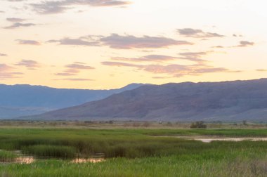 Bozkır yaz. Turgai Kaydet. Çölde Gölü