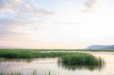 Bozkır yaz. Turgai Kaydet. Çölde Gölü