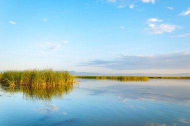 Bozkır yaz. Turgai Kaydet. Çölde Gölü