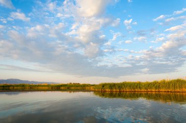 Bozkır yaz. Turgai Kaydet. Çölde Gölü
