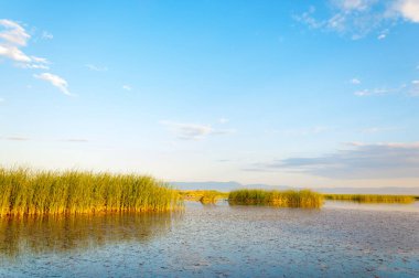 Bozkır yaz. Turgai Kaydet. Çölde Gölü