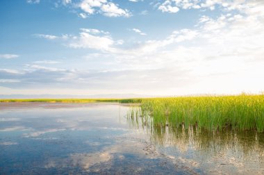 Bozkır yaz. Turgai Kaydet. Çölde Gölü