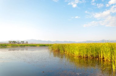 Bozkır yaz. Turgai Kaydet. Çölde Gölü