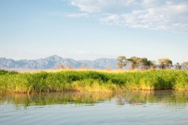 Bozkır yaz. Turgai Kaydet. Çölde Gölü