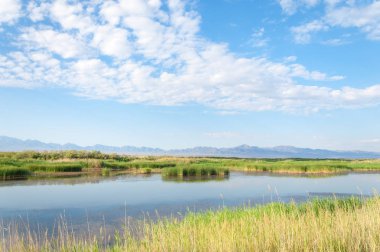 Bozkır yaz. Turgai Kaydet. Çölde Gölü