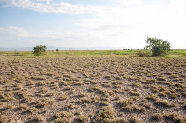 Bozkır yaz. Turgai Kaydet. Çölde Gölü