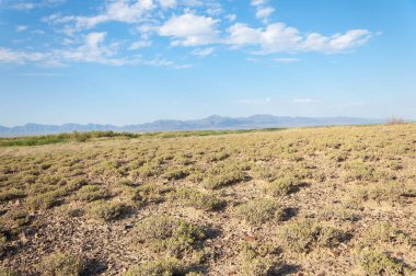 Bozkır yaz. Turgai Kaydet. Çölde Gölü