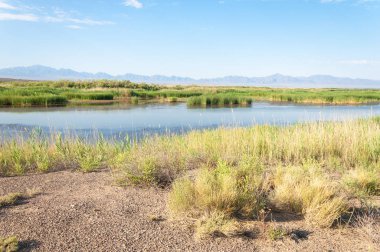 Bozkır yaz. Turgai Kaydet. Çölde Gölü