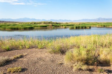 Bozkır yaz. Turgai Kaydet. Çölde Gölü