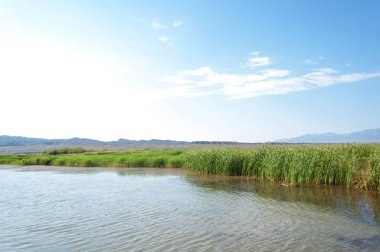 Bozkır yaz. Turgai Kaydet. Çölde Gölü
