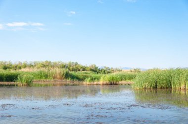 Bozkır yaz. Turgai Kaydet. Çölde Gölü