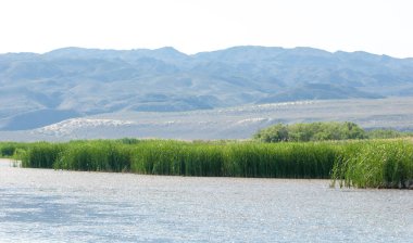 Bozkır yaz. Turgai Kaydet. Çölde Gölü