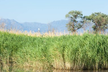 Bozkır yaz. Turgai Kaydet. Çölde Gölü