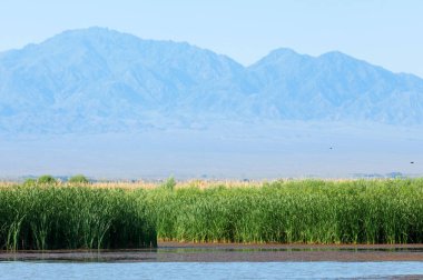 Bozkır yaz. Turgai Kaydet. Çölde Gölü