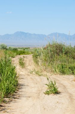 Bozkır yaz. Turgai Kaydet. Çölde Gölü