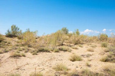 Bozkır yaz. Turgai Kaydet. Çölde Gölü