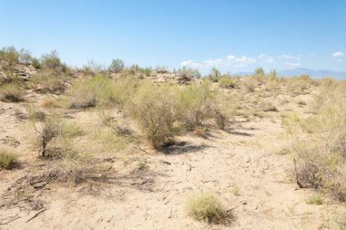 Bozkır yaz. Turgai Kaydet. Çölde Gölü