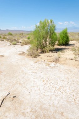 Bozkır yaz. Turgai Kaydet. Çölde Gölü