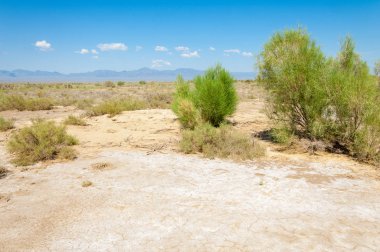 Bozkır yaz. Turgai Kaydet. Çölde Gölü