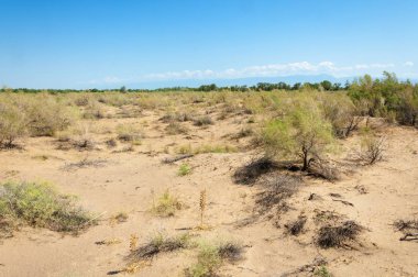 Bozkır yaz. Turgai Kaydet. Çölde Gölü