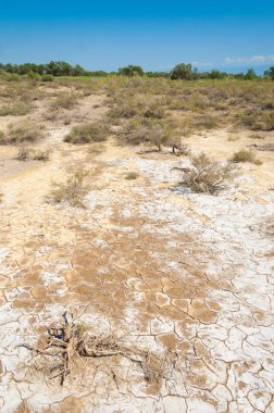 Bozkır yaz. Turgai Kaydet. Çölde Gölü