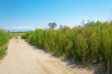 Bozkır yaz. Turgai Kaydet. Çölde Gölü