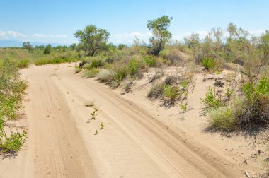 Bozkır yaz. Turgai Kaydet. Çölde Gölü