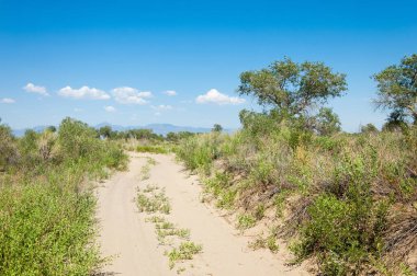 Bozkır yaz. Turgai Kaydet. Çölde Gölü