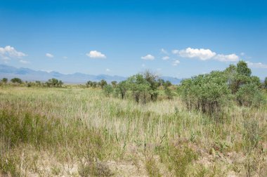 Bozkır yaz. Turgai Kaydet. Çölde Gölü
