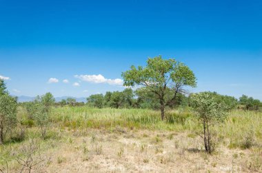 Bozkır yaz. Turgai Kaydet. Çölde Gölü