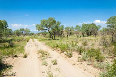 Bozkır yaz. Turgai Kaydet. Çölde Gölü