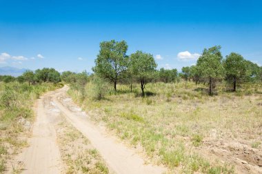 Bozkır yaz. Turgai Kaydet. Çölde Gölü