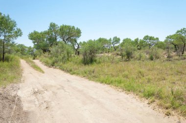 Bozkır yaz. Turgai Kaydet. Çölde Gölü
