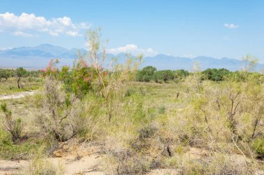 Bozkır yaz. Turgai Kaydet. Çölde Gölü