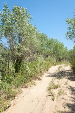 Bozkır yaz. Turgai Kaydet. Çölde Gölü
