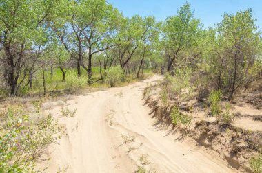 Bozkır yaz. Turgai Kaydet. Çölde Gölü