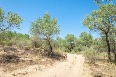 Bozkır yaz. Turgai Kaydet. Çölde Gölü