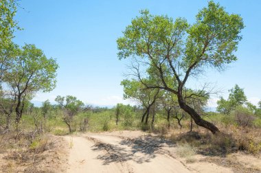 Bozkır yaz. Turgai Kaydet. Çölde Gölü