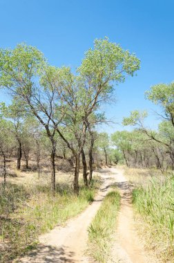 Bozkır yaz. Turgai Kaydet. Çölde Gölü