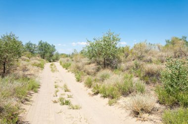 Bozkır yaz. Turgai Kaydet. Çölde Gölü