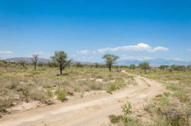 Bozkır yaz. Turgai Kaydet. Çölde Gölü